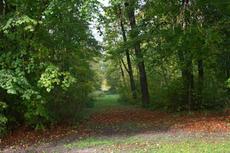 Herbststimmung-23-10-09 046.jpg